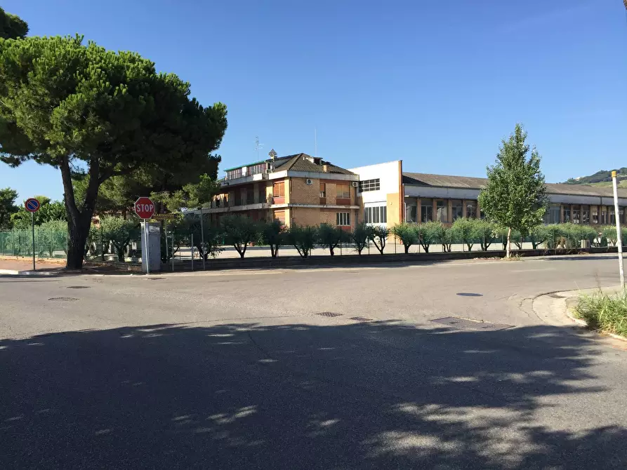 Immagine 2 di Capannone industriale in vendita  in Via Roma a Martinsicuro