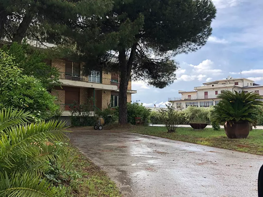 Immagine 10 di Capannone industriale in vendita  in Via Roma a Martinsicuro