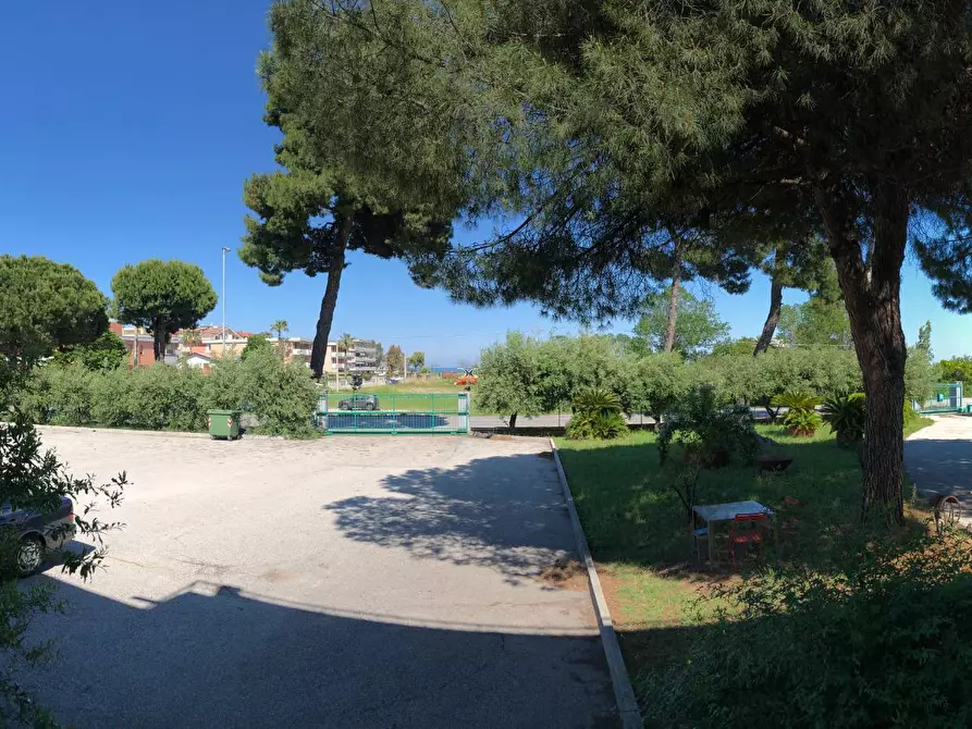 Immagine 11 di Capannone industriale in vendita  in Via Roma a Martinsicuro