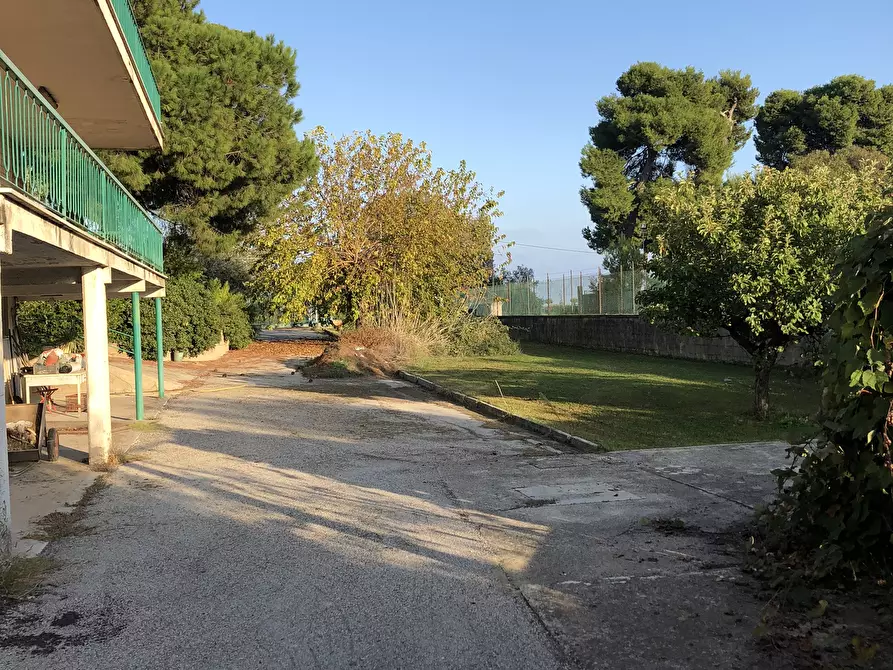 Immagine 14 di Capannone industriale in vendita  in Via Roma a Martinsicuro