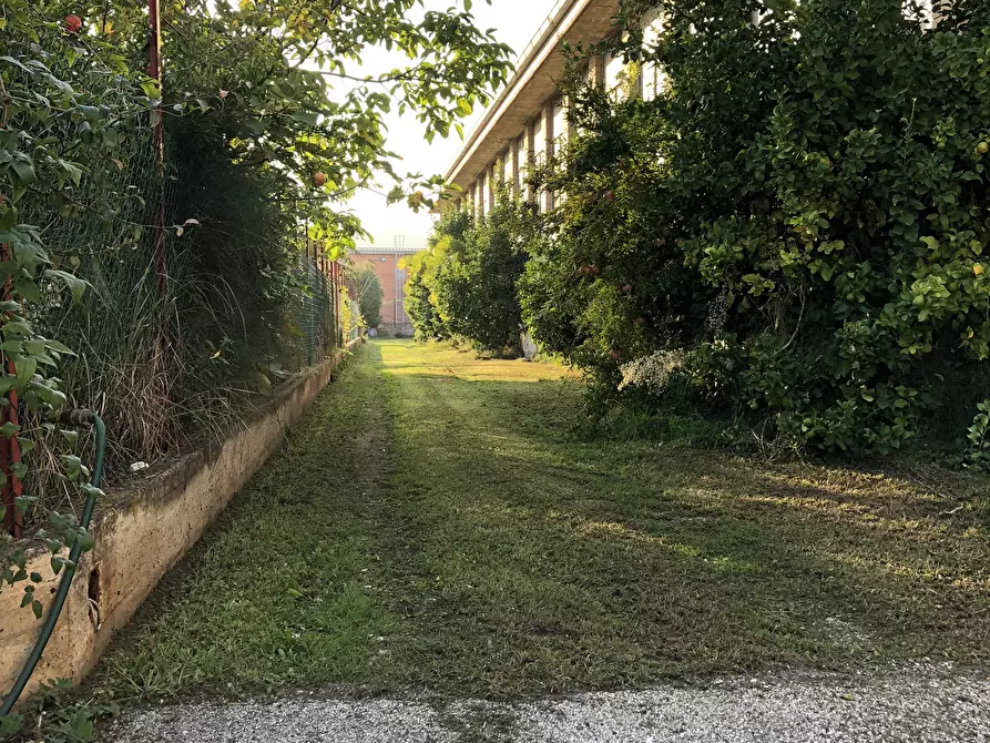 Immagine 15 di Capannone industriale in vendita  in Via Roma a Martinsicuro