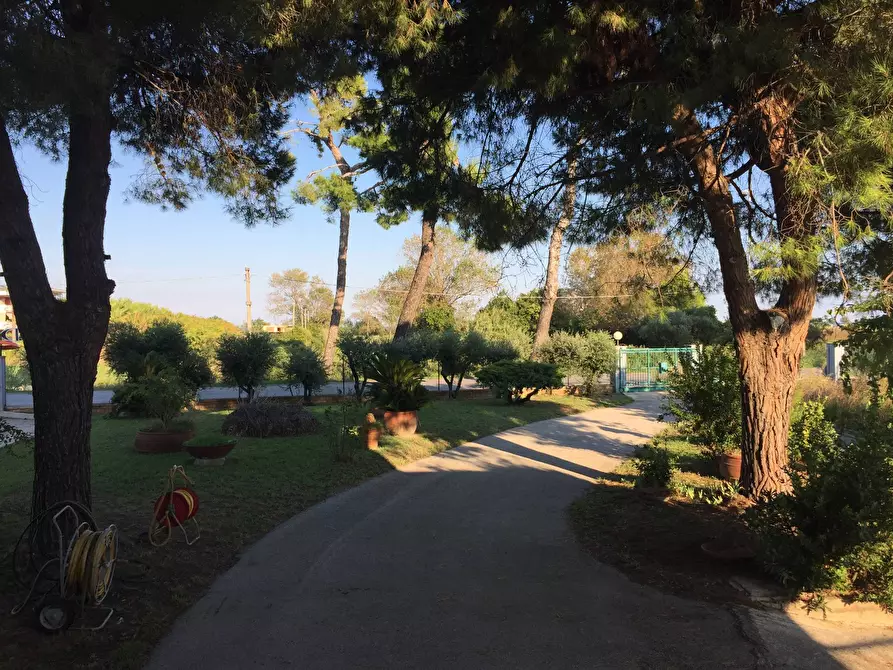 Immagine 16 di Capannone industriale in vendita  in Via Roma a Martinsicuro