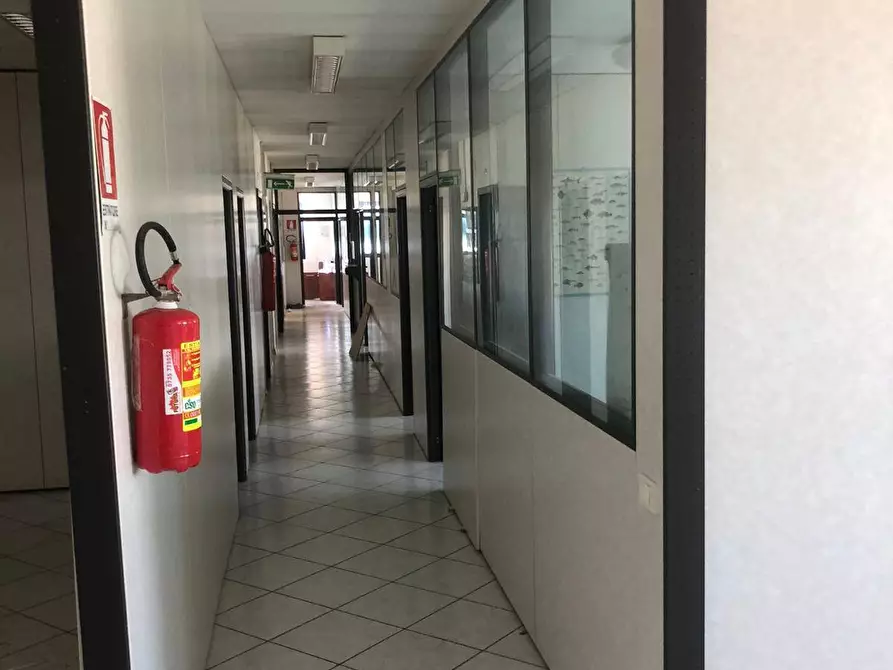 Immagine 8 di Capannone industriale in vendita  a Monteprandone