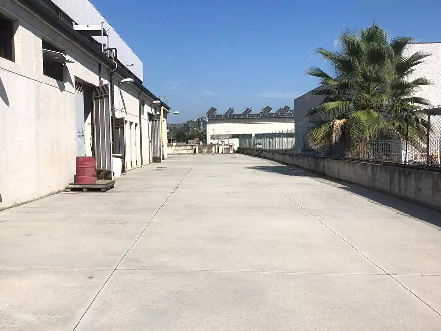 Immagine 12 di Capannone industriale in vendita  a Monteprandone