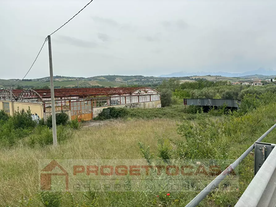 Immagine 9 di Terreno industriale in vendita  in Località Collenaresco a Giulianova
