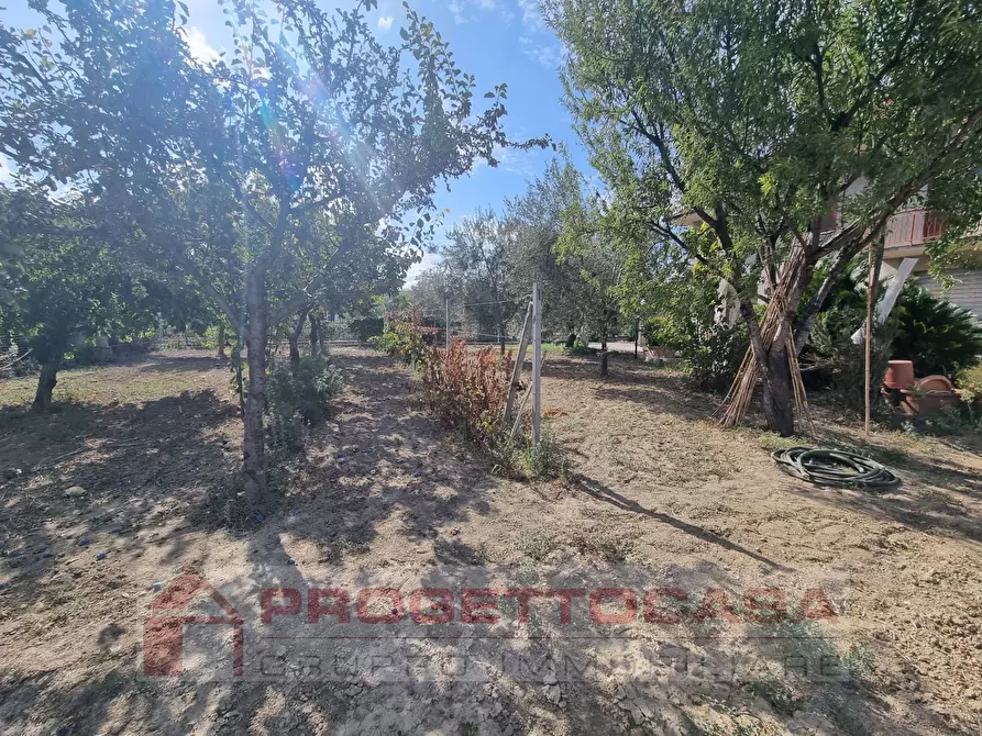 Immagine 9 di Casa indipendente in vendita  in ottantesima strada a Monteprandone