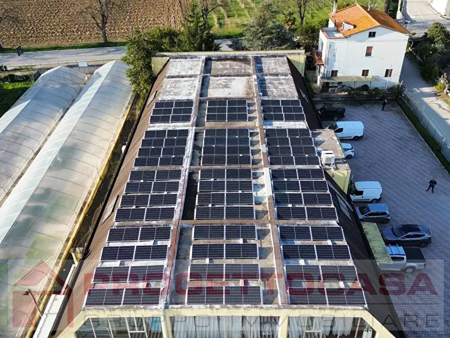 Immagine 4 di Capannone industriale in vendita  in Via Salaria a Monteprandone