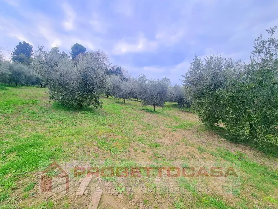 Immagine 8 di Casa indipendente in vendita  a Colli Del Tronto