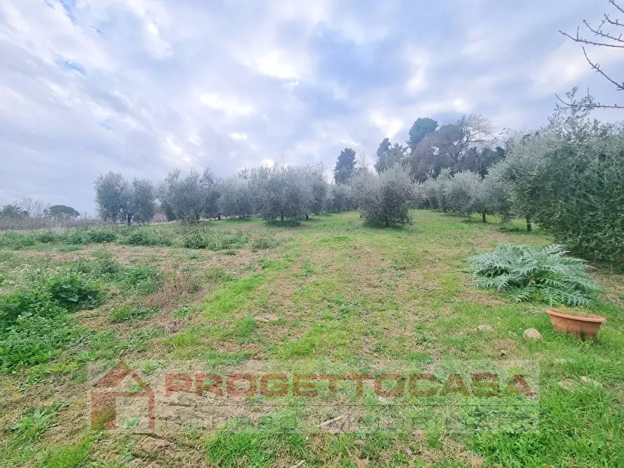 Immagine 9 di Casa indipendente in vendita  a Colli Del Tronto