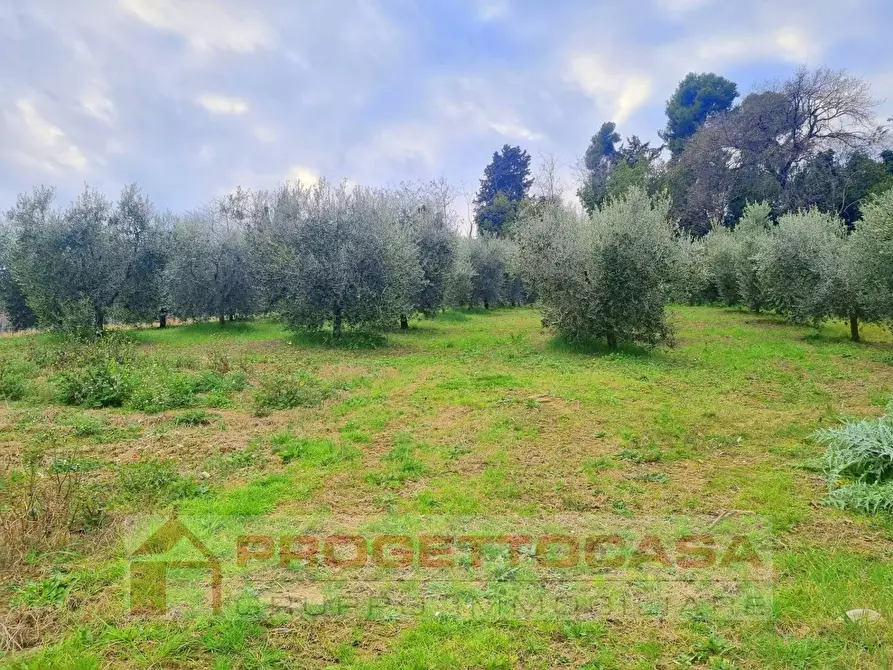 Immagine 10 di Casa indipendente in vendita  a Colli Del Tronto