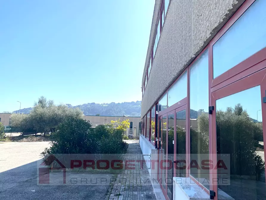 Immagine 2 di Capannone industriale in affitto  in Via Nevada a Grottammare
