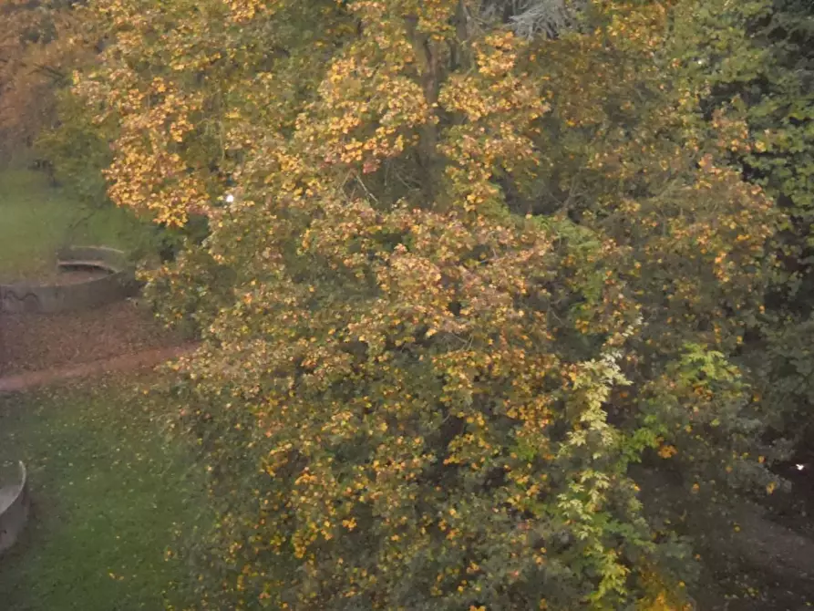 Immagine 9 di Ufficio in affitto  in Corso Domenico Baccarini a Faenza