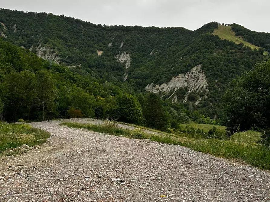 Immagine 1 di Villetta a schiera in vendita  a Brisighella