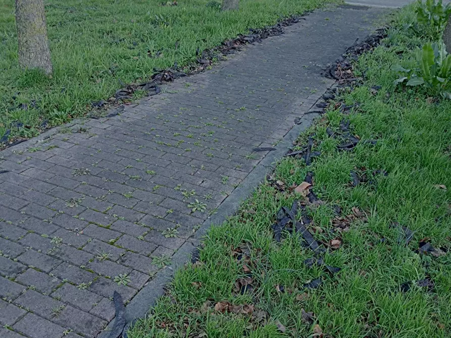 Immagine 3 di Locale commerciale in vendita  in via maestri del lavoro a Faenza