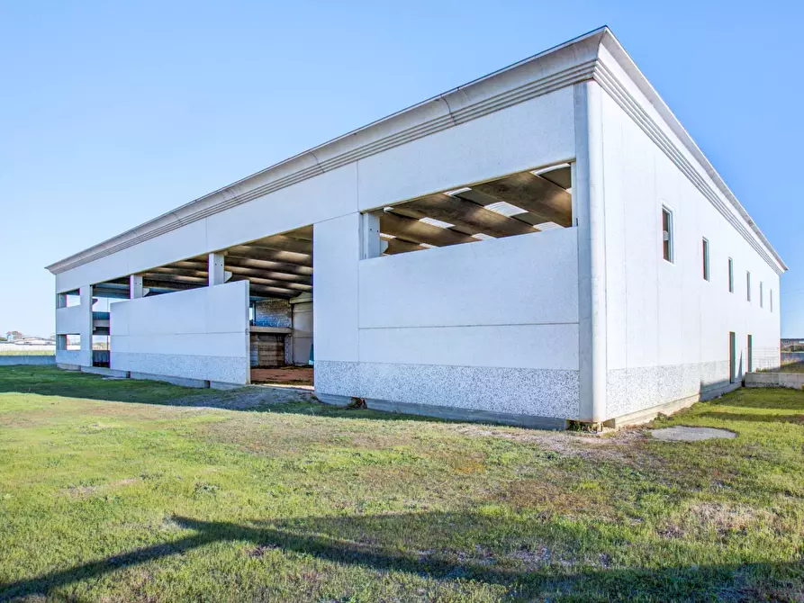 Immagine 3 di Capannone industriale in vendita  in Via della Produzione a Aprilia