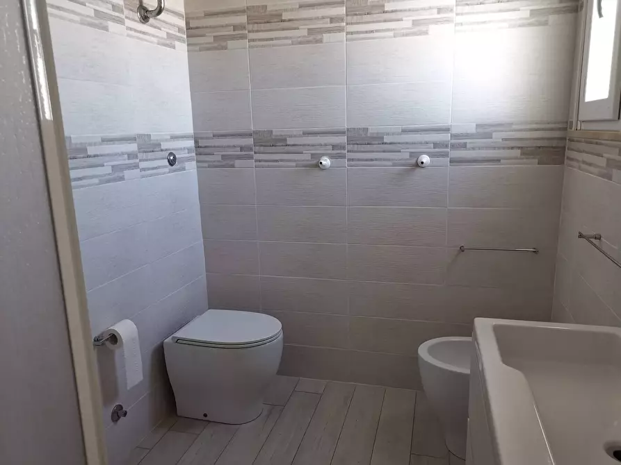 Immagine 25 di Attività commerciale in vendita  a Ardea