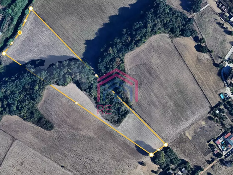 Immagine 2 di Terreno agricolo in vendita  in Via Ovile Banditella a Ardea