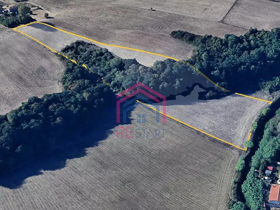 Immagine 3 di Terreno agricolo in vendita  in Via Ovile Banditella a Ardea