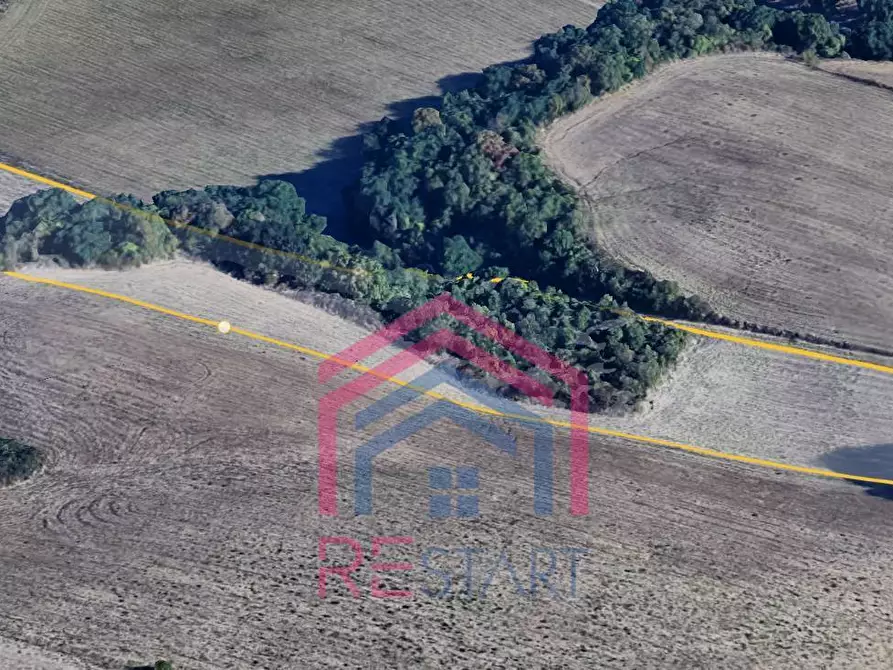 Immagine 4 di Terreno agricolo in vendita  in Via Ovile Banditella a Ardea