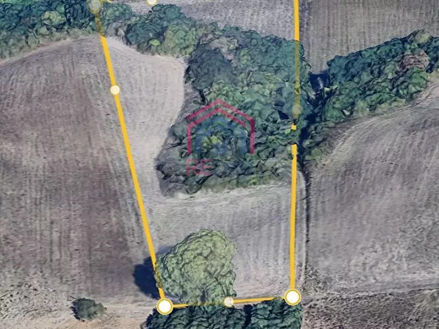 Immagine 5 di Terreno agricolo in vendita  in Via Ovile Banditella a Ardea