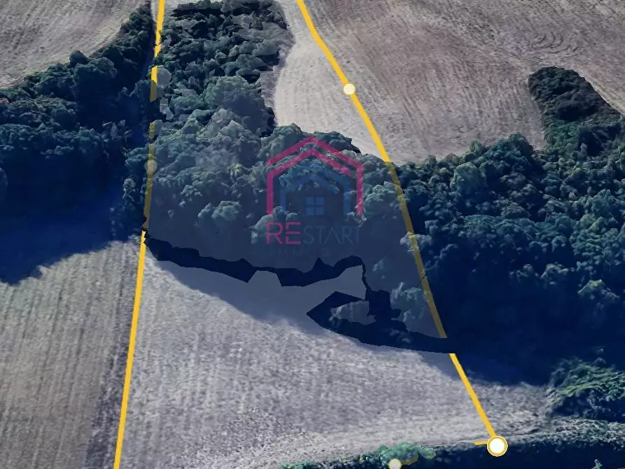 Immagine 6 di Terreno agricolo in vendita  in Via Ovile Banditella a Ardea