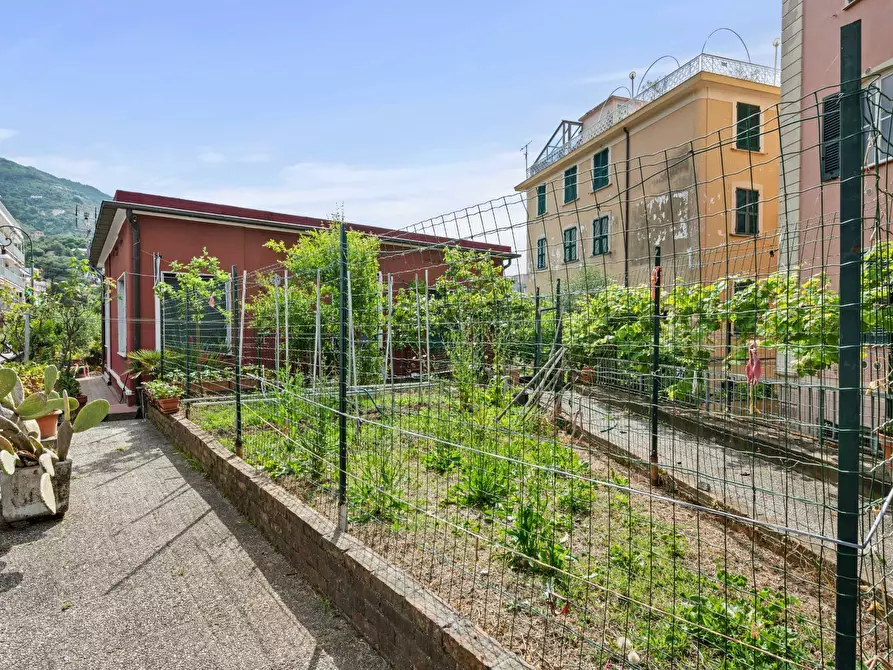 Immagine 3 di Casa indipendente in vendita  in Via Aurelia di Levante a Rapallo