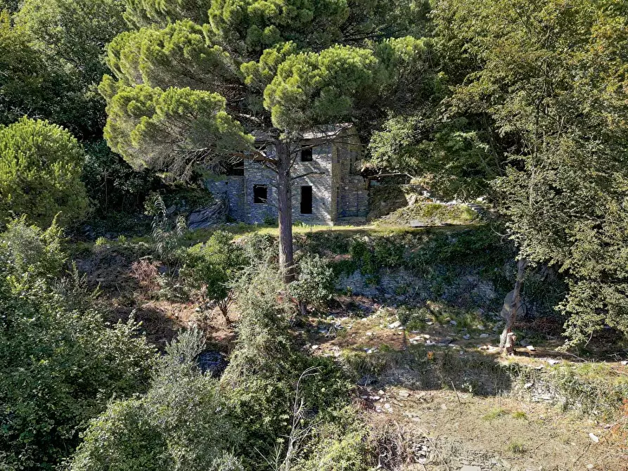 Immagine 2 di Rustico / casale in vendita  in Località Vallette Ronco a Zoagli