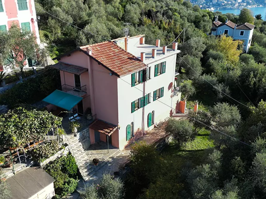 Immagine 3 di Villa in vendita  in Via Tre Scalini a Santa Margherita Ligure