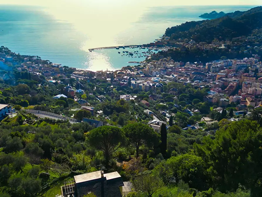 Immagine 4 di Villa in vendita  in Via Tre Scalini a Santa Margherita Ligure