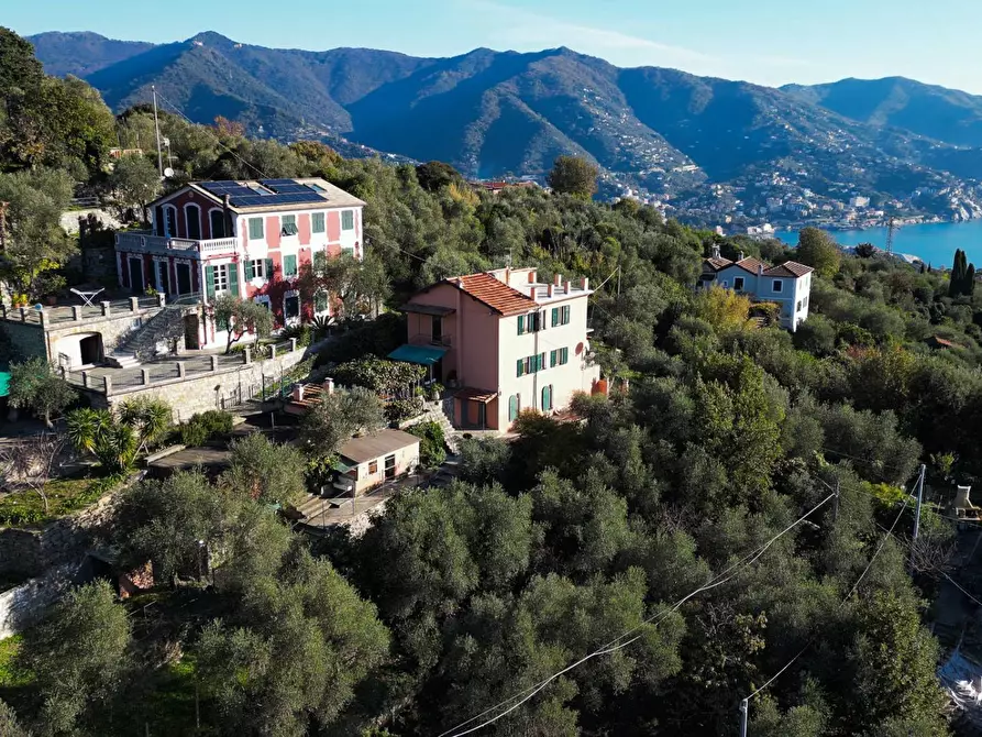 Immagine 5 di Villa in vendita  in Via Tre Scalini a Santa Margherita Ligure