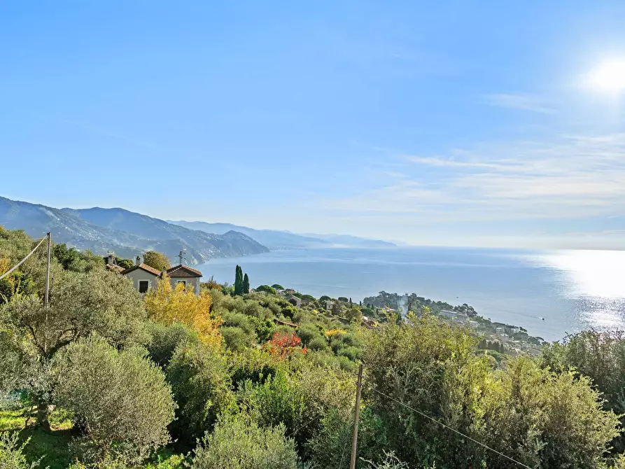 Immagine 10 di Villa in vendita  in Via Tre Scalini a Santa Margherita Ligure