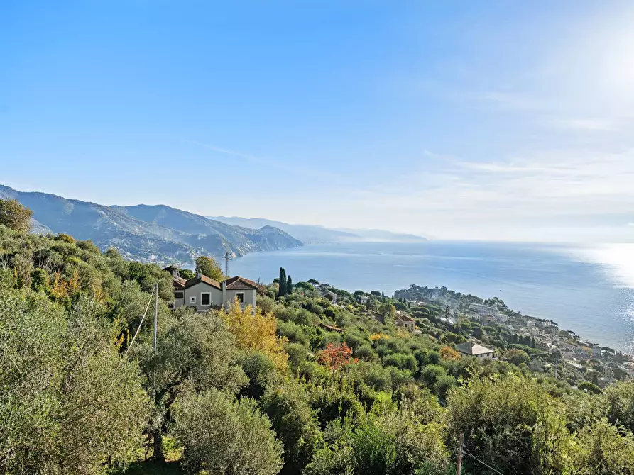 Immagine 11 di Villa in vendita  in Via Tre Scalini a Santa Margherita Ligure