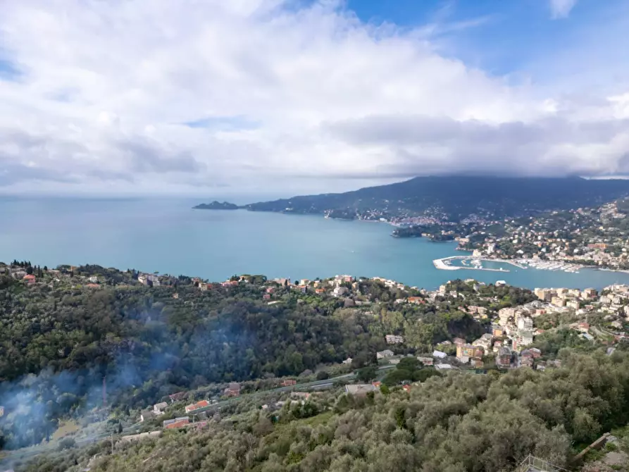 Immagine 1 di Rustico / casale in vendita  in Località San Bernardo a Zoagli