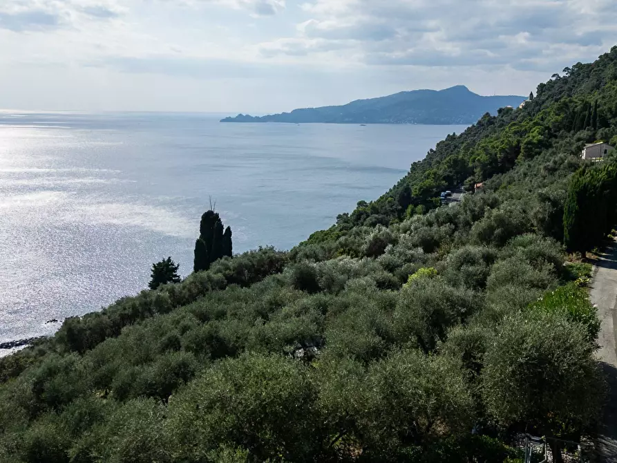 Immagine 13 di Appartamento in vendita  in località bacezza case sparse a Chiavari