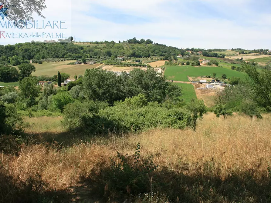 Immagine 1 di Terreno agricolo in vendita  in contrada fontanelle a Monsampolo Del Tronto