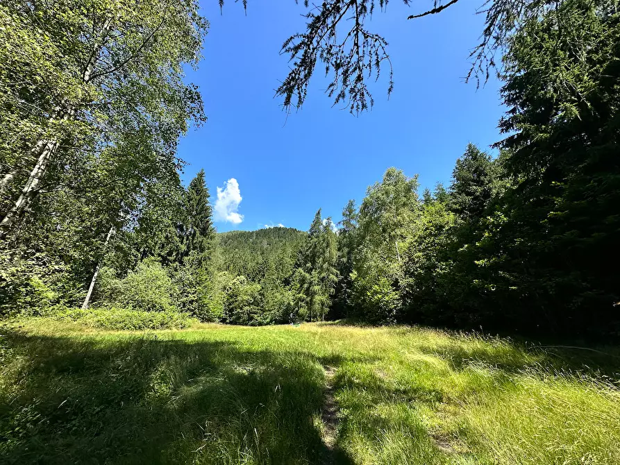 Immagine 25 di Terreno agricolo in vendita  in Plagna a Collio