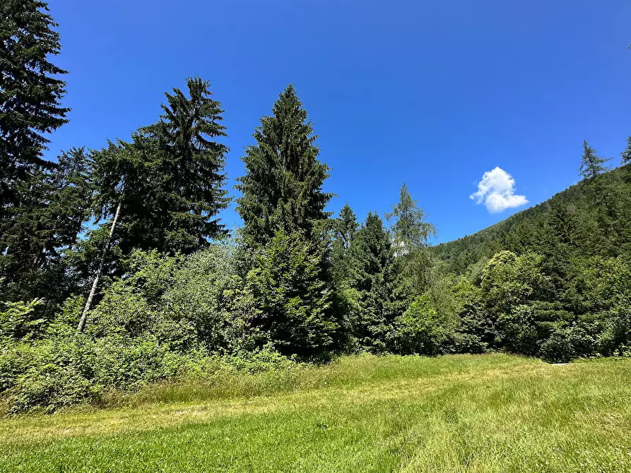 Immagine 27 di Terreno agricolo in vendita  in Plagna a Collio