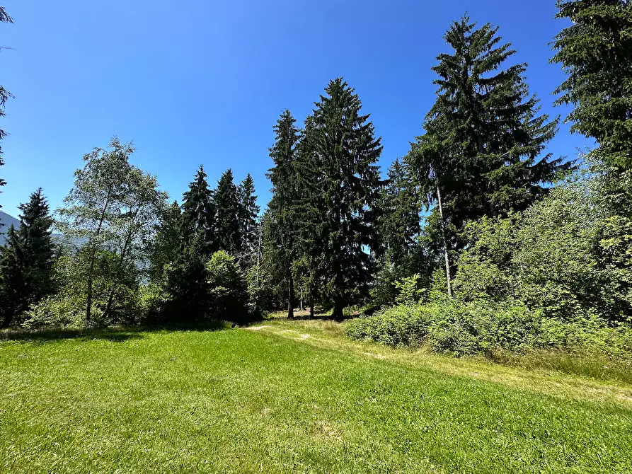 Immagine 29 di Terreno agricolo in vendita  in Plagna a Collio