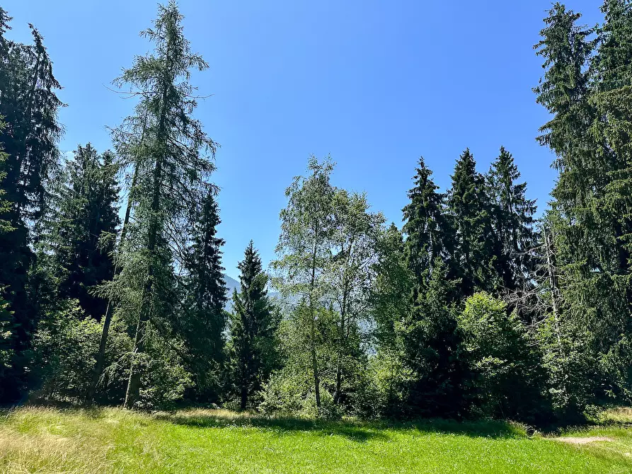 Immagine 30 di Terreno agricolo in vendita  in Plagna a Collio