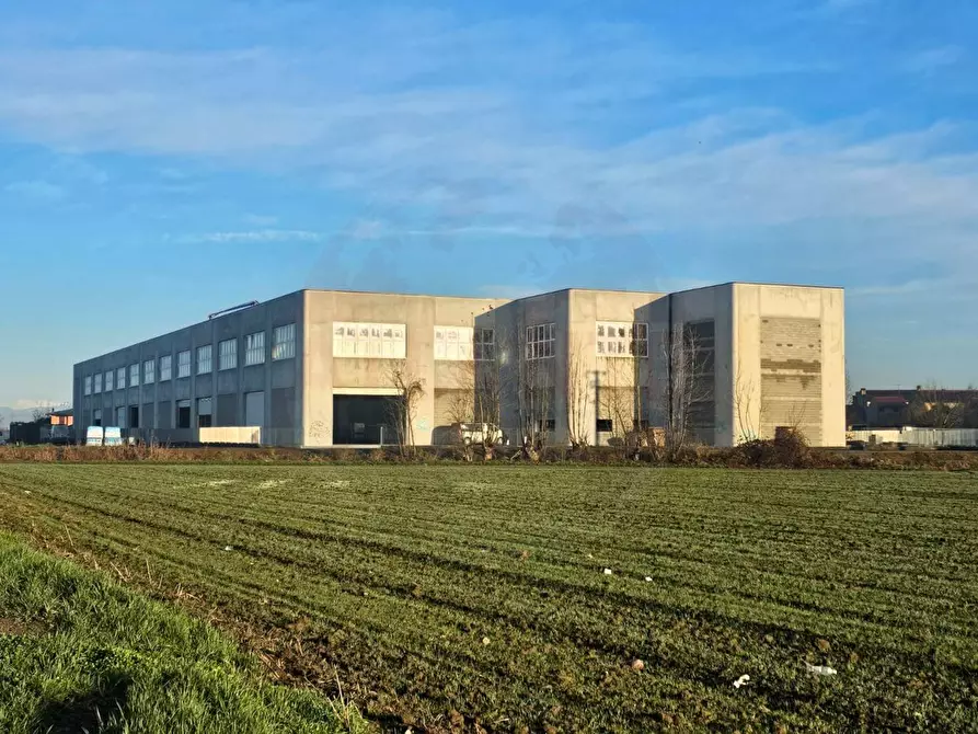 Immagine 5 di Capannone industriale in affitto  a Orzinuovi