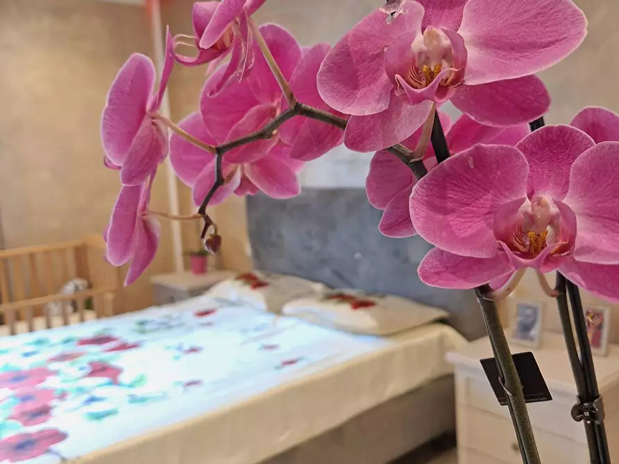 Immagine 25 di Casa indipendente in vendita  in Via Tagliata a Chiari