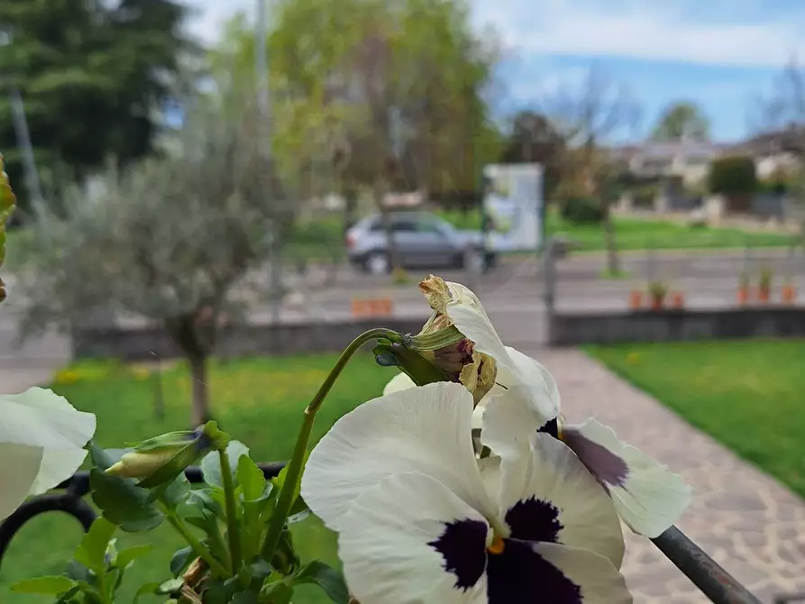 Immagine 29 di Casa indipendente in vendita  in Via Tagliata a Chiari