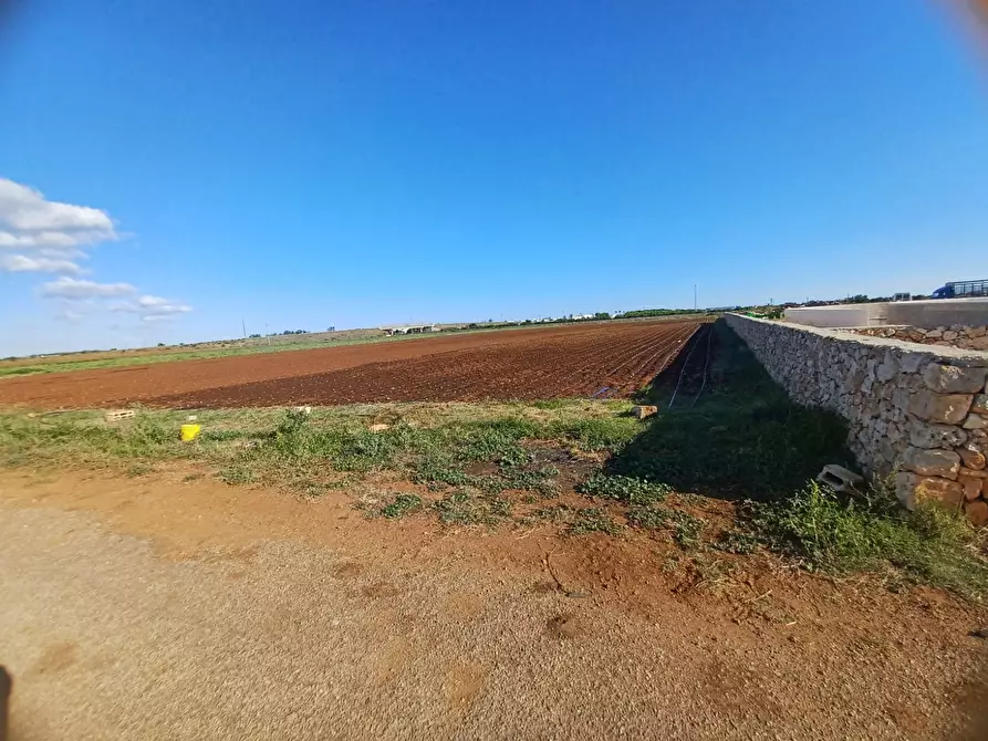 Immagine 1 di Terreno agricolo in vendita  in Contrada Pezze Morelle a Carovigno