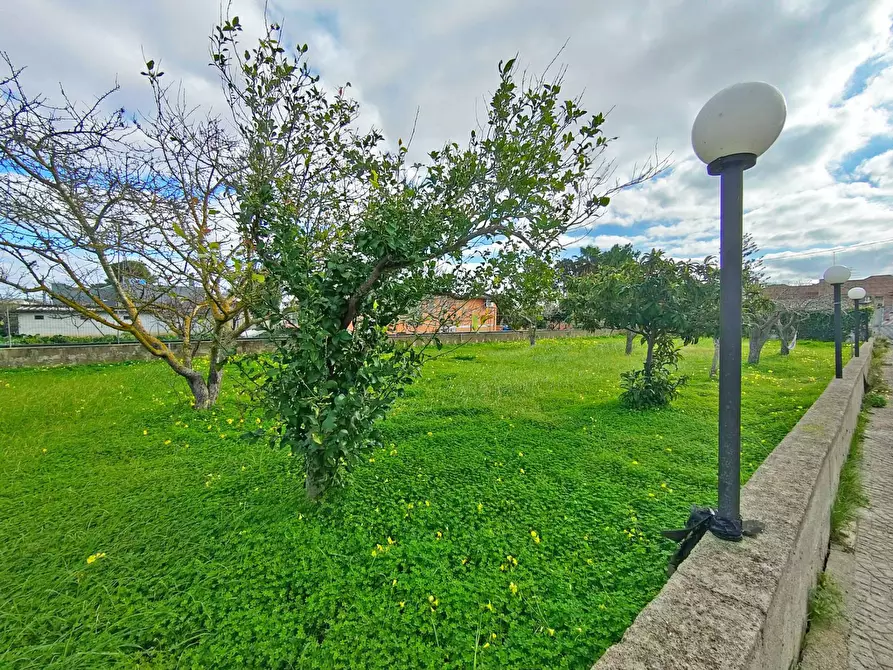 Immagine 4 di Villa in vendita  in Strada Dei Vini a Brindisi