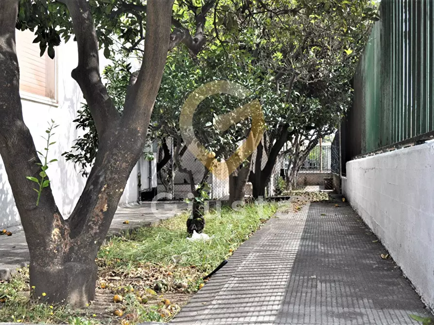 Immagine 14 di Appartamento in vendita  in Via Locatelli a Brindisi