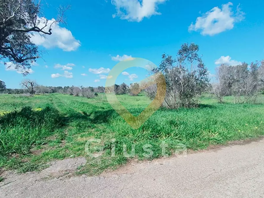 Immagine 2 di Terreno agricolo in vendita  in Contrada La Mea a Cellino San Marco