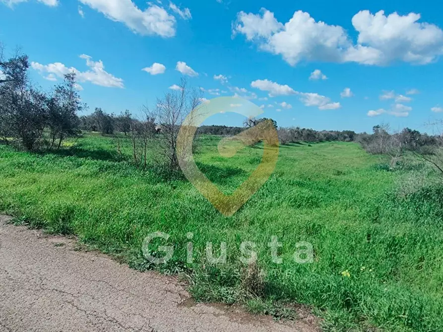 Immagine 4 di Terreno agricolo in vendita  in Contrada La Mea a Cellino San Marco