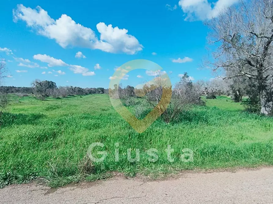 Immagine 5 di Terreno agricolo in vendita  in Contrada La Mea a Cellino San Marco