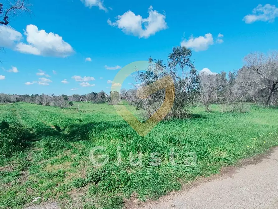 Immagine 6 di Terreno agricolo in vendita  in Contrada La Mea a Cellino San Marco