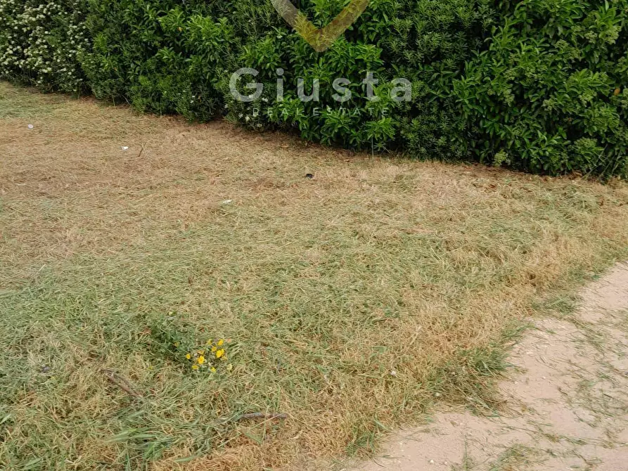 Immagine 5 di Terreno agricolo in vendita  in Via Vega a Brindisi